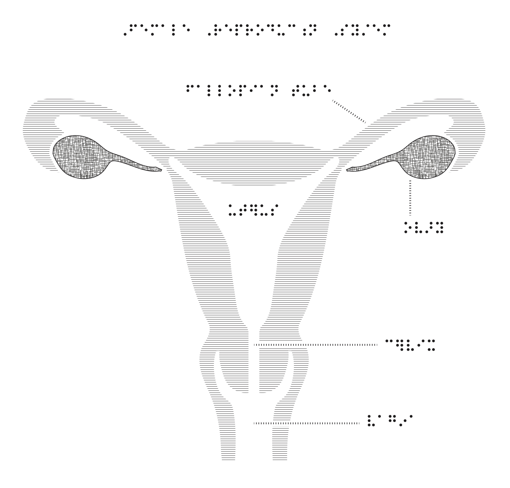 Female Reproductive System Diagram Unlabeled Side View Blank